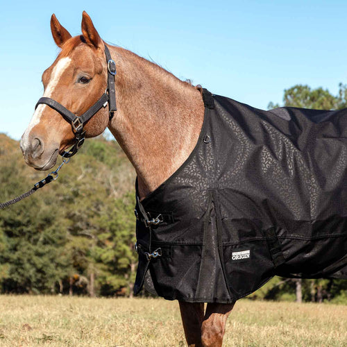 Jeffers Poplar Head Origin 600D Medium Weight Turnout Blanket, 240g | Waterproof & Breathable Horse Blanket
