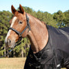 Jeffers Poplar Head Origin 600D Medium Weight Turnout Blanket, 240g | Waterproof & Breathable Horse Blanket