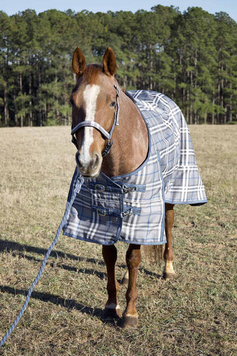 Jeffers Poplar Head Refuge 1200D Medium Weight Turnout Blanket, 240g - Waterproof, Breathable Horse Blanket