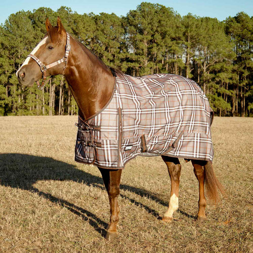 Jeffers Poplar Head Refuge 1200D Medium Weight Turnout Blanket, 240g - Waterproof, Breathable Horse Blanket