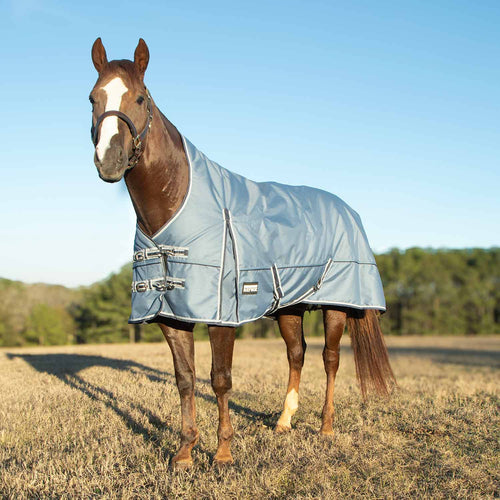 Jeffers Poplar Head Refuge 1200 Denier Turnout Blanket with High Neck, 240 Gram, Hamilton Blue