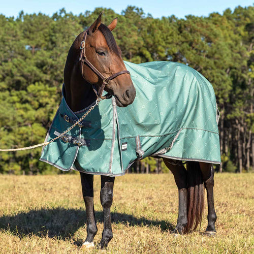Jeffers Poplar Head Uniquely English 1200D Medium Weight Turnout Blanket, 240g - Waterproof & Breathable Horse Blanket