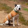 Jeffers Waterproof Breathe-Comfort 600D Ripstop Dog Blanket, 200 Gram