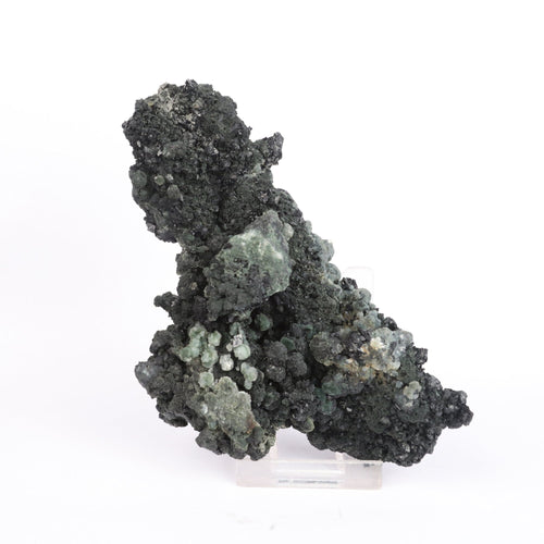 Julgoldite with Babingtonite Rare Found  Natural Mineral Specimen # B 6623