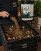 North Atlantic Kelp Meal for Sale - Organic Seaweed Fertilizer for Soil (SC)