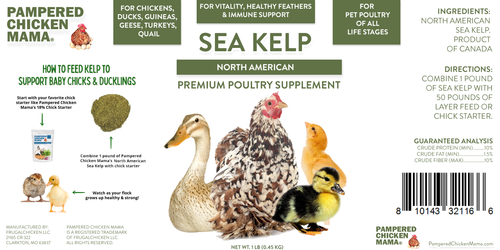 North Atlantic Kelp For Extra Vitamins, Minerals, & Amino Acids For Pet Chickens & Ducks