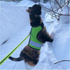 Kitty Holster Reflective Safety Harness (Made in USA)