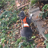 Kitty Holster Reflective Safety Harness (Made in USA)