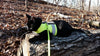 Kitty Holster Reflective Safety Harness (Made in USA)