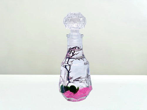 Romantic Marimo Moss Balls Glass Bottle Aquarium With Lid Love Plants for Beginners for Couples