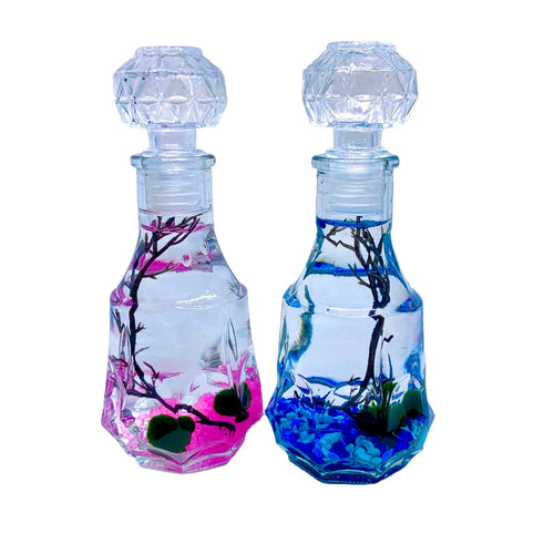 Romantic Marimo Moss Balls 2PCS Set Glass Bottle Aquarium With Lid Love Plants for Beginners for Couples