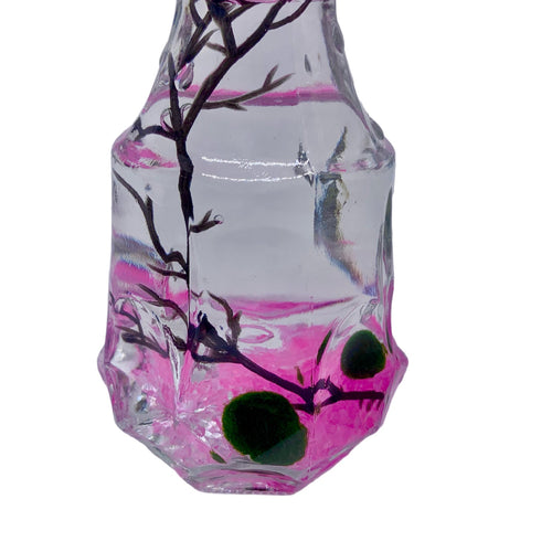 Romantic Marimo Moss Balls Glass Bottle Aquarium With Lid Love Plants for Beginners for Couples
