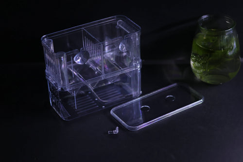 Guppy Breeder Box (Large)