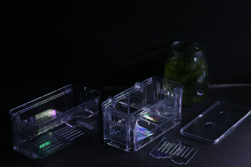 Guppy Breeder Box (Large)