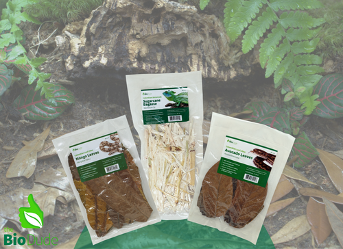 The Bio Dude | Colombian Leaf Litter 3 pack of mixed types | Terrarium safe and ready to use | DS