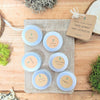 Leafy Greens Seed Collection