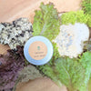 Leafy Greens Seed Collection