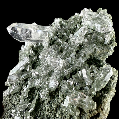 Lemurian Quartz on Sparkly Chlorite | High Quality Mineral | Indian Mineral | Superb Minerals | Collectors Piece | Fine Mineral
