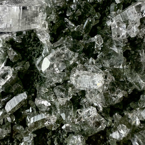Lemurian Quartz on Sparkly Chlorite | High Quality Mineral | Indian Mineral | Superb Minerals | Collectors Piece | Fine Mineral