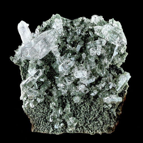 Lemurian Quartz on Sparkly Chlorite | High Quality Mineral | Indian Mineral | Superb Minerals | Collectors Piece | Fine Mineral