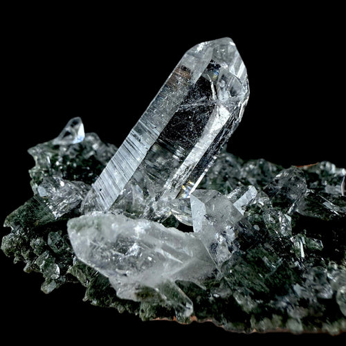 Lemurian Quartz on Sparkly Chlorite | High Quality Mineral | Indian Mineral | Superb Minerals | Collectors Piece | Fine Mineral