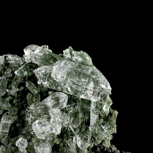 Lemurian Quartz on Sparkly Chlorite | High Quality Mineral | Indian Mineral | Superb Minerals | Collectors Piece | Fine Mineral