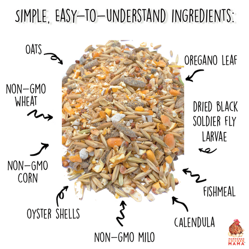 16% Premium Layer Feed With Black Soldier Fly Larvae, Fishmeal, & Herbs {Soy Free + High Protein}