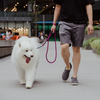 Patented Magnetic Dog Leash