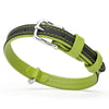 Soft Leather Dual-Color Flat Dog Collar
