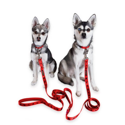 EcoBark Cherry Red Dog Leash- Padded Comfort Grip Leash with Dog Pattern - 4 ft, 5 ft, and 6 ft Leash for Small and Medium Dogs