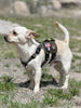K9R - M5 MOLLE Light Vest