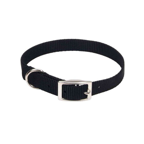 Dog - Coastal Pet Single Nylon Dog Collar