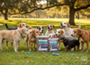 Much Loved Dog™ - Blueberry Burst, Set