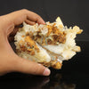 MANGO QUARTZ Rare Natural Mineral Specimen # B 6807