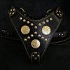The Maximus harness black & gold