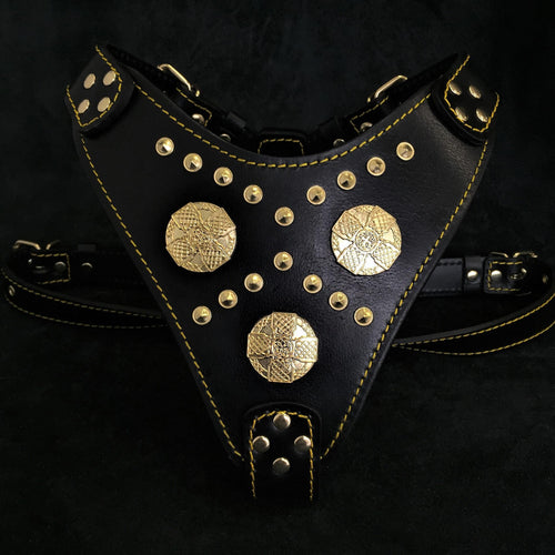 The Maximus harness black & gold