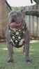Maximus Black BIG dog SET- Harness - collar - lead. Brass rivets