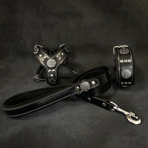 Maximus Black&Silver Small dog SET - Harness - collar - lead