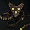 Maximus Brown BIG dog SET- Harness - collar - lead. Brass rivets