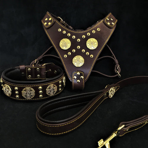Maximus Brown BIG dog SET- Harness - collar - lead. Brass rivets