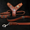 Maximus Silver BIG dog SET- Harness - collar - lead. Brown