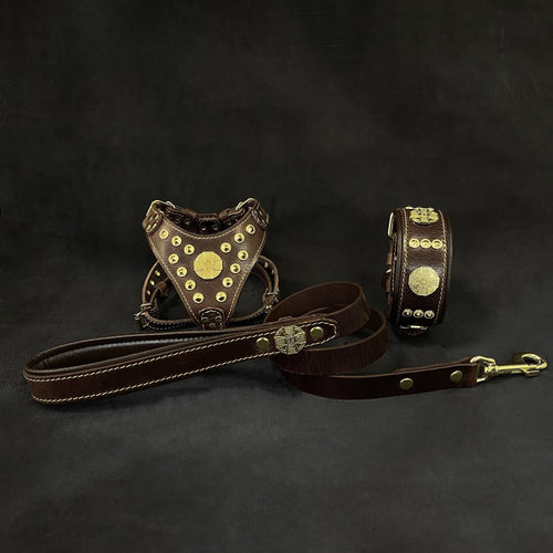 Maximus Brown&Gold Small dog SET - Harness - collar - lead