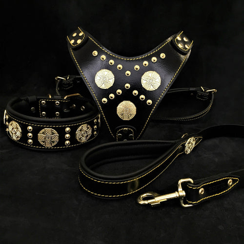 Maximus Black BIG dog SET- Harness - collar - lead. Brass rivets