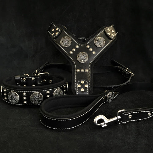 Maximus Silver BIG dog SET- Harness - collar - lead. Black