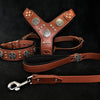 Maximus Silver BIG dog SET- Harness - collar - lead. Brown