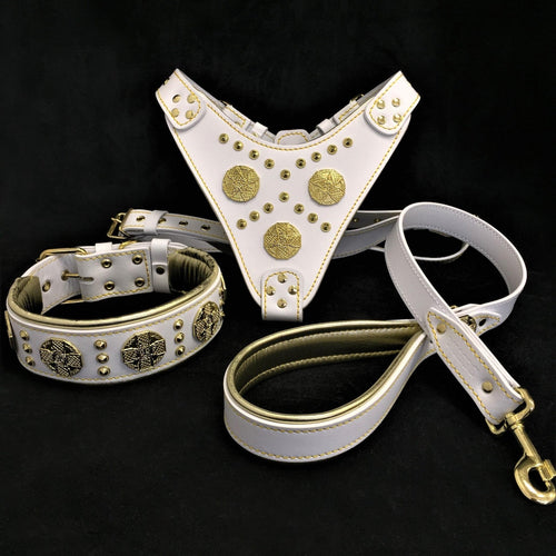 Maximus White BIG dog SET- Harness - collar - lead. Brass rivets