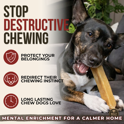 Himalayan Yak Chew (MEDIUM)