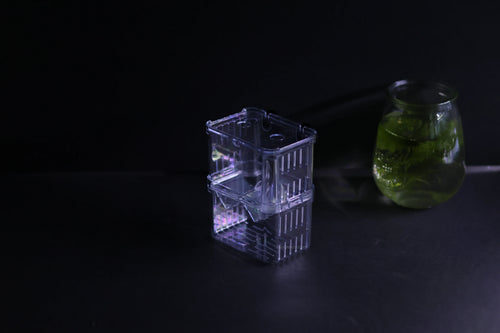 Guppy Breeder Box (Medium)