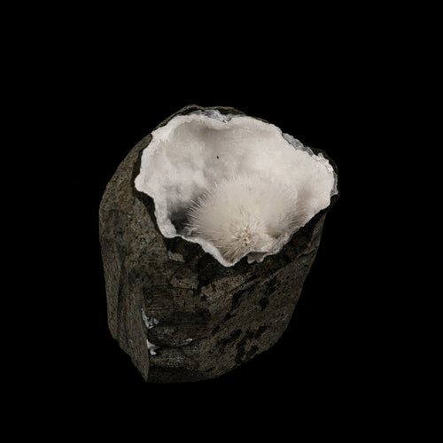 Mesolite Inside Chalcedony Geode Natural Mineral Specimen # B 6164