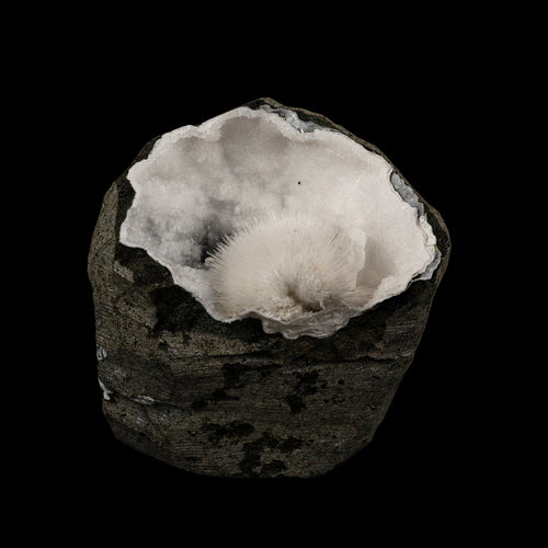 Mesolite Inside Chalcedony Geode Natural Mineral Specimen # B 6164